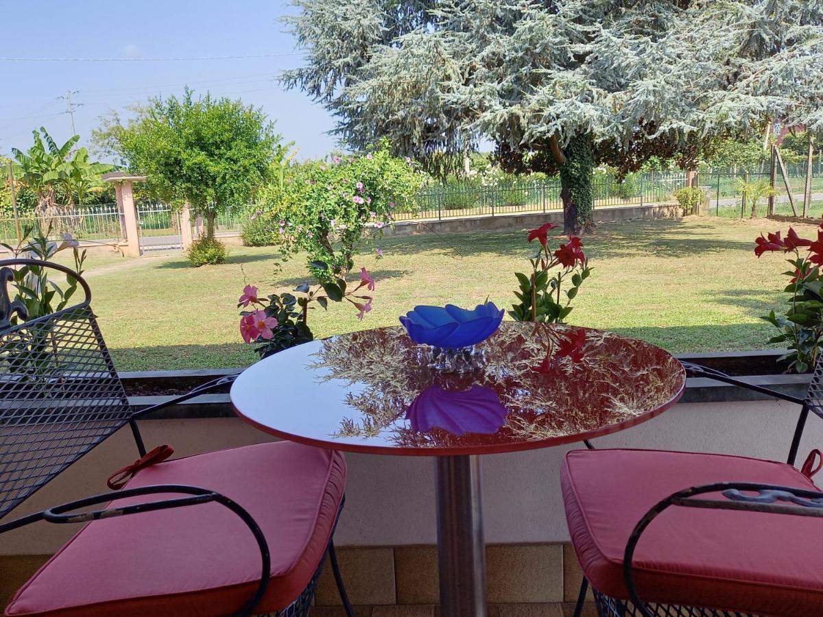 B & B Cedro Argentato Legnago Exterior photo